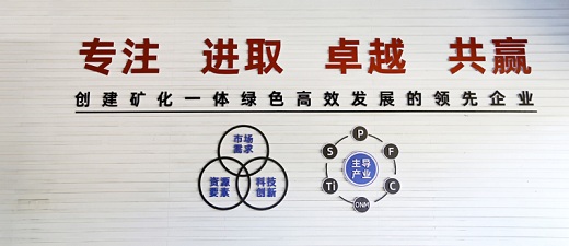 尊龙凯时集团确立新时期焦点价值观    文化赋能矿化一体绿色高效生长