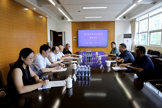 东至县来集团公司追求项目相助